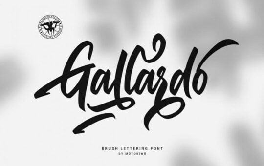 gallardo-script-font.jpg