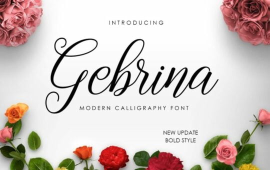 gebrina-calligraphy-font-768x512-1.jpg