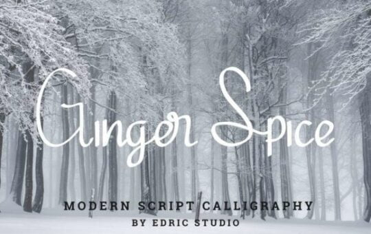 ginger-spice-font.jpg