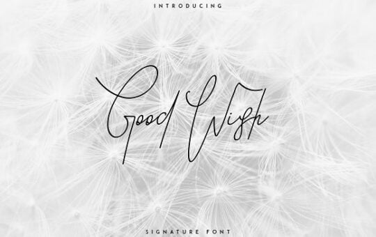 good-wish-signature-font.jpg