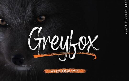 greyfox-brush-font-1.jpg