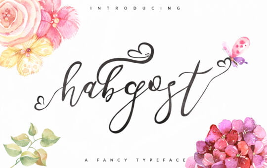 habgost-script-font.jpg