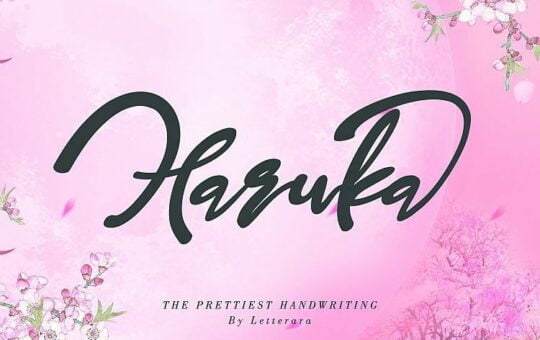 haruka-font-1.jpg