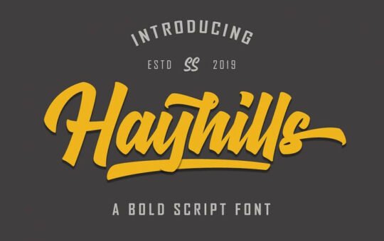 hayhills-bold-script-font.jpg