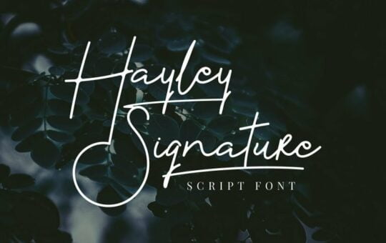 hayley-signature-font-768x512-1.jpg