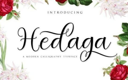 hedaga-font-1.jpg