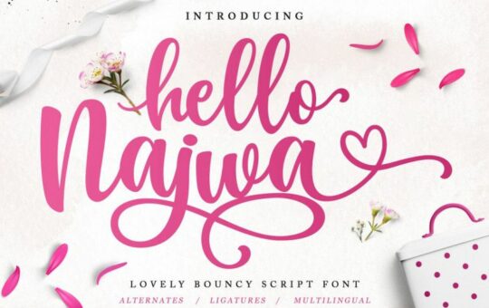 hello-najwa-script-font-1.jpg