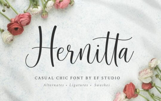 hernitta-script-font.jpg