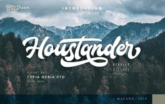 houstander-script-font.jpg