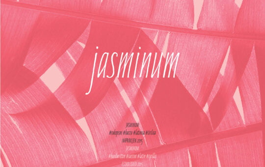 jasminum-handwriting-font.jpg