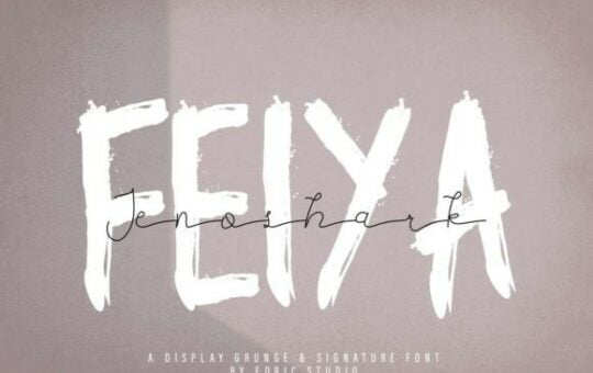 jenoshark-feiya-font.jpg
