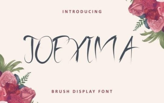 joexima-font-1.jpg