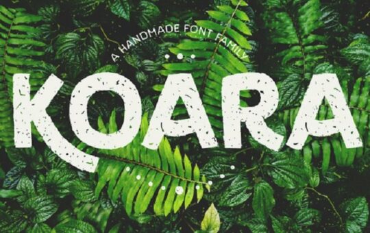 koara-font-family.jpg