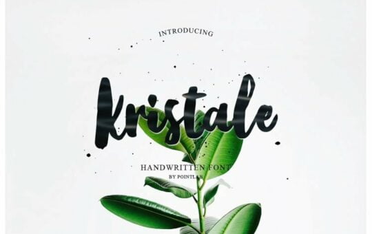 kristale-script-font-747x512-1.jpg