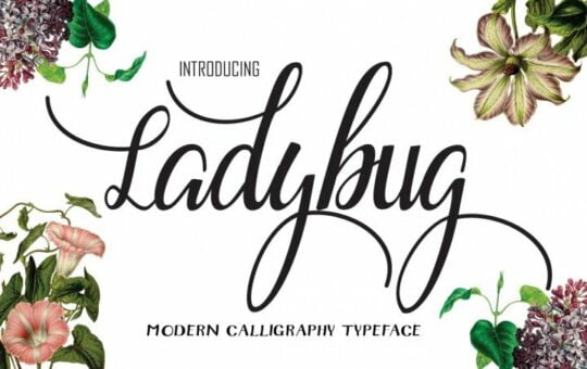 ladybug-script.jpg