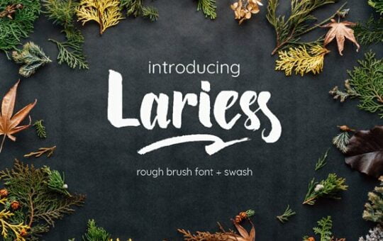 lariess-brush-font.jpg