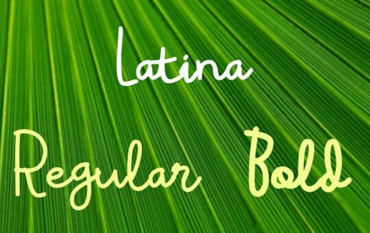 latina-font-1.jpg
