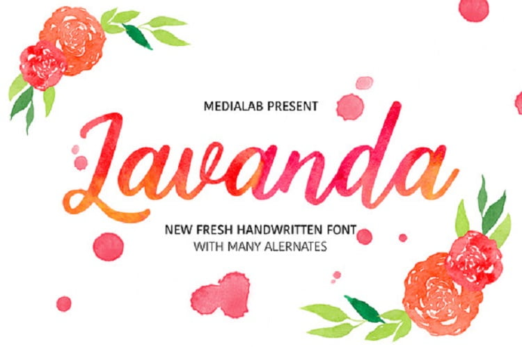 lavanda.jpg