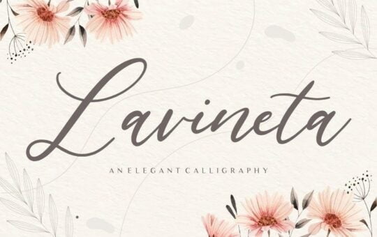 lavineta-font-1.jpg