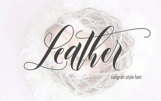 leather-script-font-768x512-1.jpg