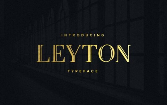 leyton-typeface-8.jpg