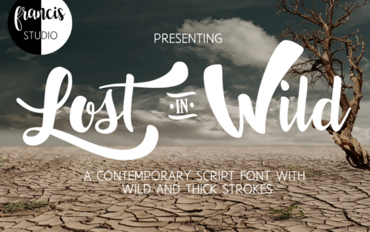 lost-in-wild-fontlost-in-wild-font.png