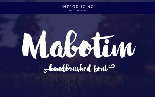 mabotim-brush.jpg