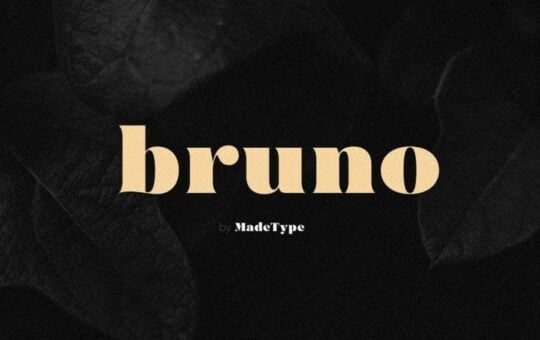 made-bruno-serif-font-1.jpg