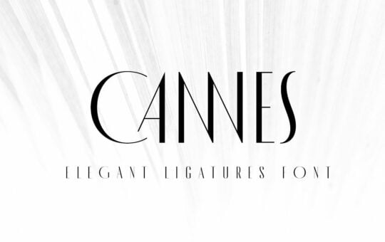 made-cannes-typeface.jpg