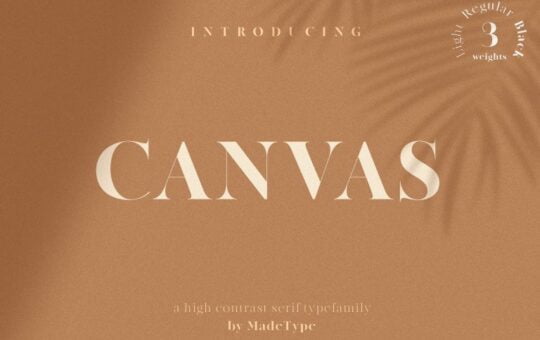 made-canvas-serif-font.jpg