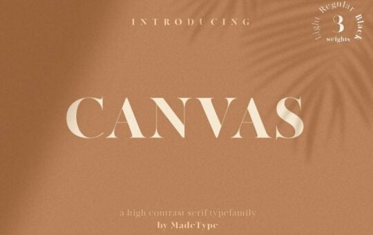 made-canvas-serif-font-768x512-1.jpg