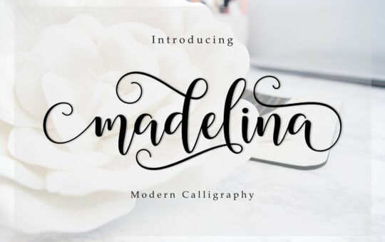 madelina-script-font.jpg