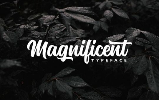 magnificent-font.jpg
