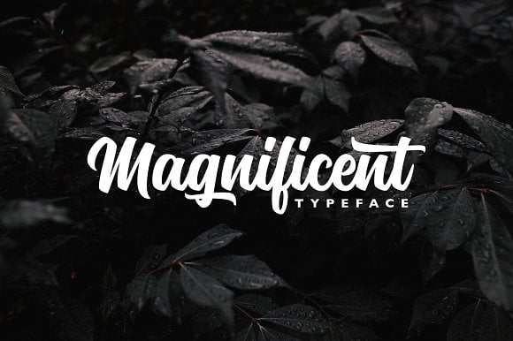magnificent-font.jpg