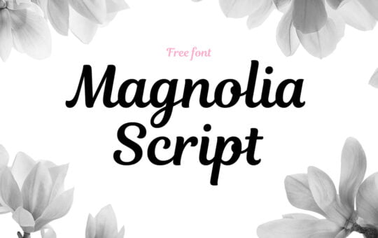 magnolia-script-font.jpg