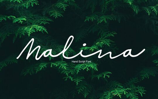 malina-script-font.jpg