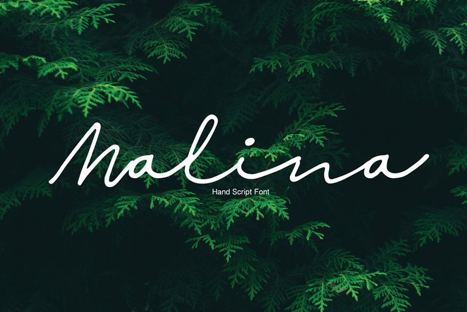 malina-script-font.jpg