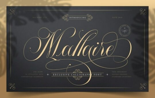 mallaire-calligraphy-font-1.jpg