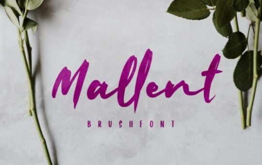 mallent-font.jpg