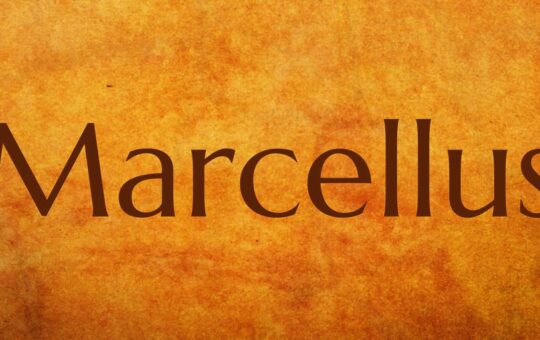 marcellus-font.jpg