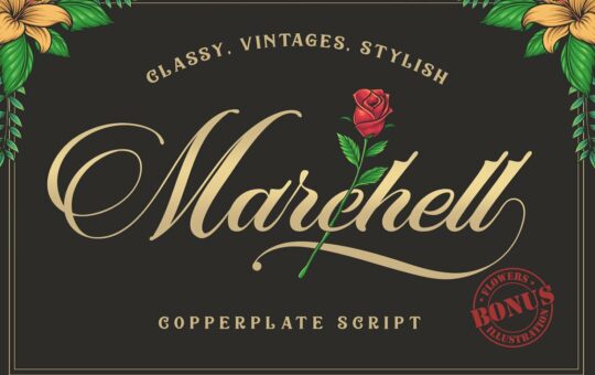 marchell-script-font.jpg
