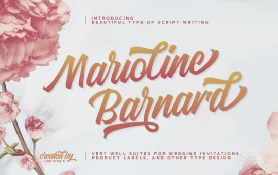 marioline-barnard-script-font-1.jpg