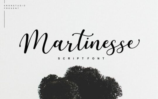 martinesse-script-font-768x512-1.jpg