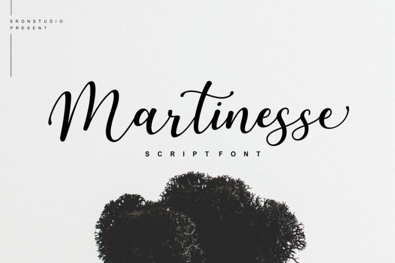 martinesse-script-font-768x512-1.jpg