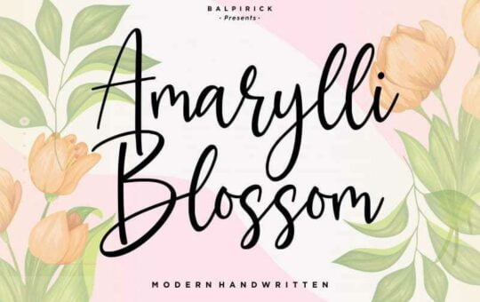 marylli-Blossom-Handwritten-Font-1.jpg