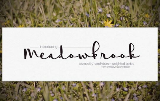 meadowbrook-font.jpg
