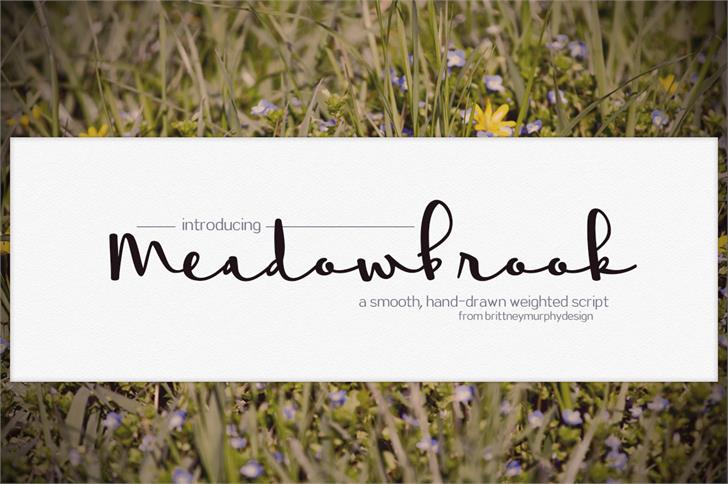 meadowbrook-font.jpg