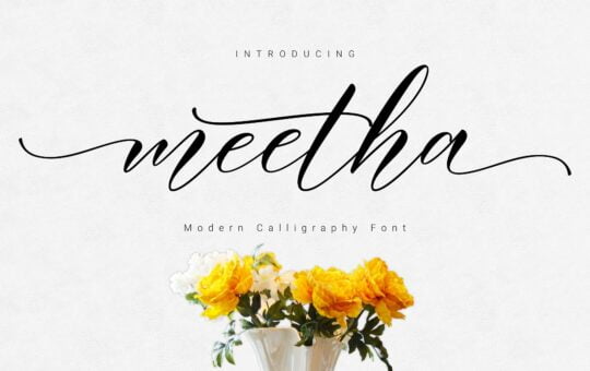 meetha-script-font.jpg
