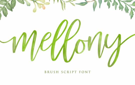 mellony-brush-script-font.png