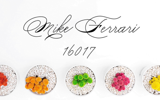 mike-ferrari-16017-font.png